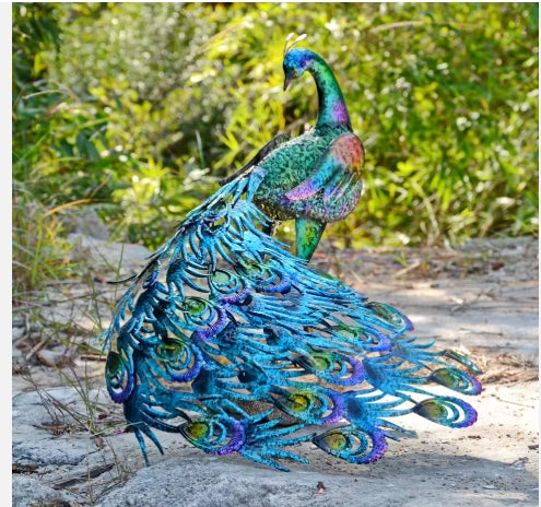 Vibrant Fantail Peacock-Back head Outdoor Garden Decor Main image