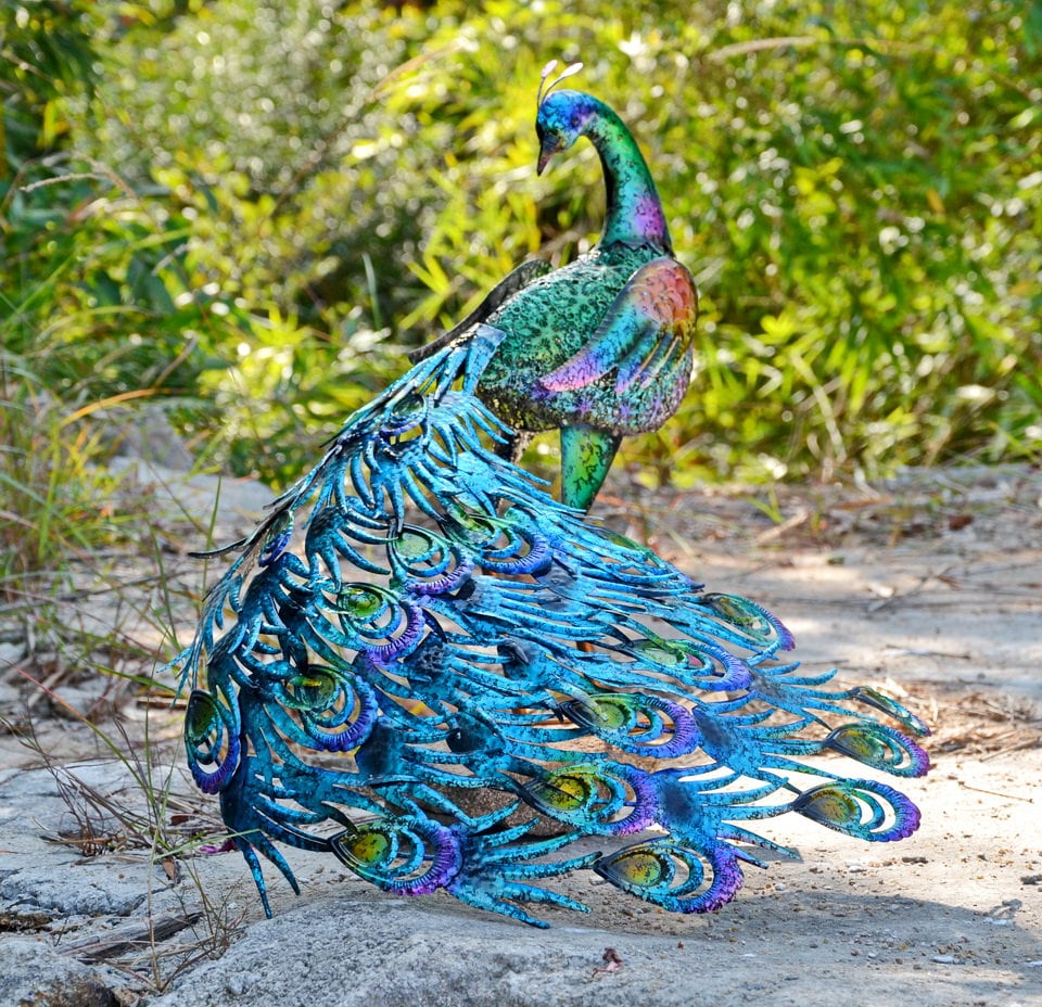 Vibrant peacock-Back head or Front head Outdoor Garden Decor Main image