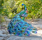 Vibrant peacock-Back head or Front head Outdoor Garden Decor