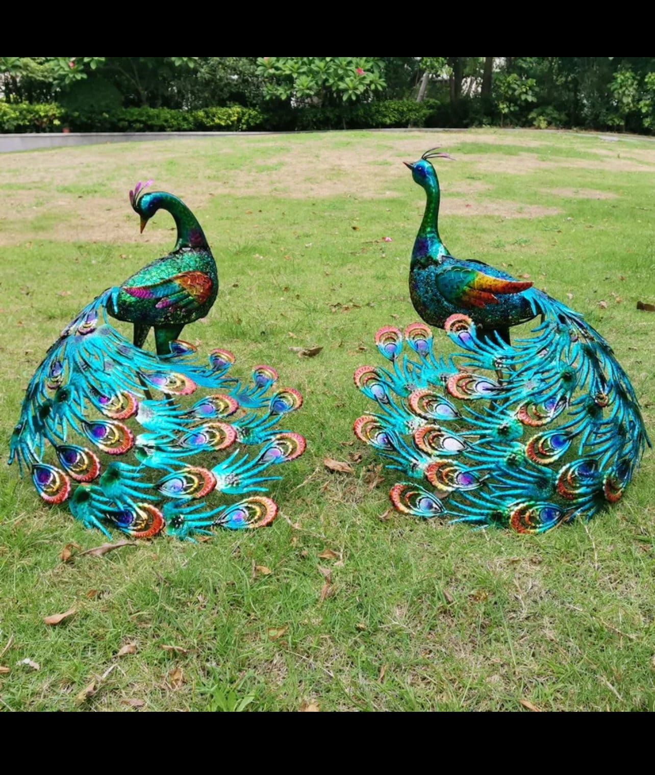 Vibrant peacock-Back head or Front head Outdoor Garden Decor Secondary image