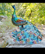 Vibrant peacock-Back head or Front head Outdoor Garden Decor